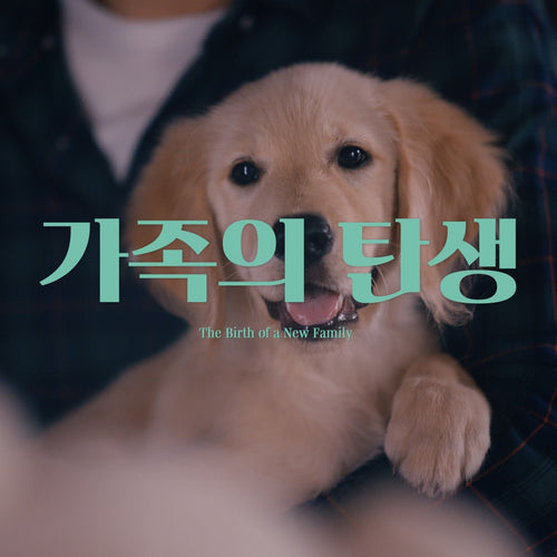 IFULUV’s manifesto film, The Birth of a New Family