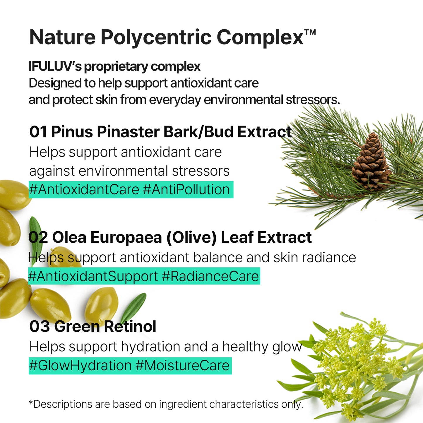 SKINTOSKIN MOISTURE BODY LOTION 16.2Fl. OZ. (480ml)