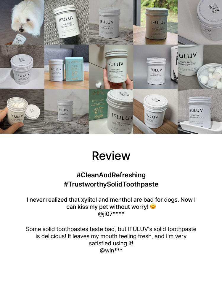 Kiss n Safe Toothpaste Tabs