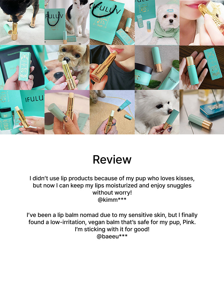 Lip Protection Stick 4g